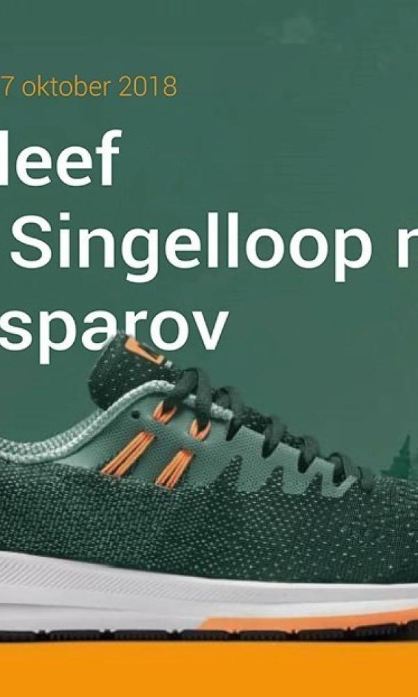 Singelloop 2018