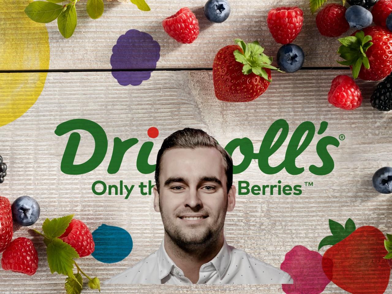 Driscoll's